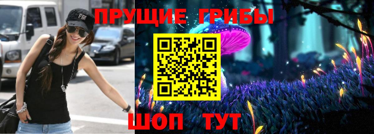 Кировск  Галлюциногенные грибы мицелий  Вход с VPN 